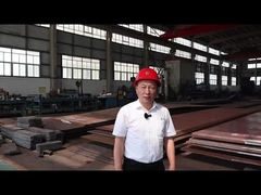 Caco3 افقی 300 تن در روز کولسیناسیون کوره چرخشی